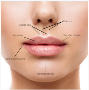 Plastic Surgery for Smokers' Lips Plastic Surgery for Smokers' Lips